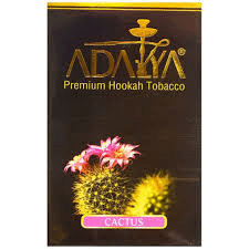 Adalya Cactus Online Kaufen Shisha Onlineshop